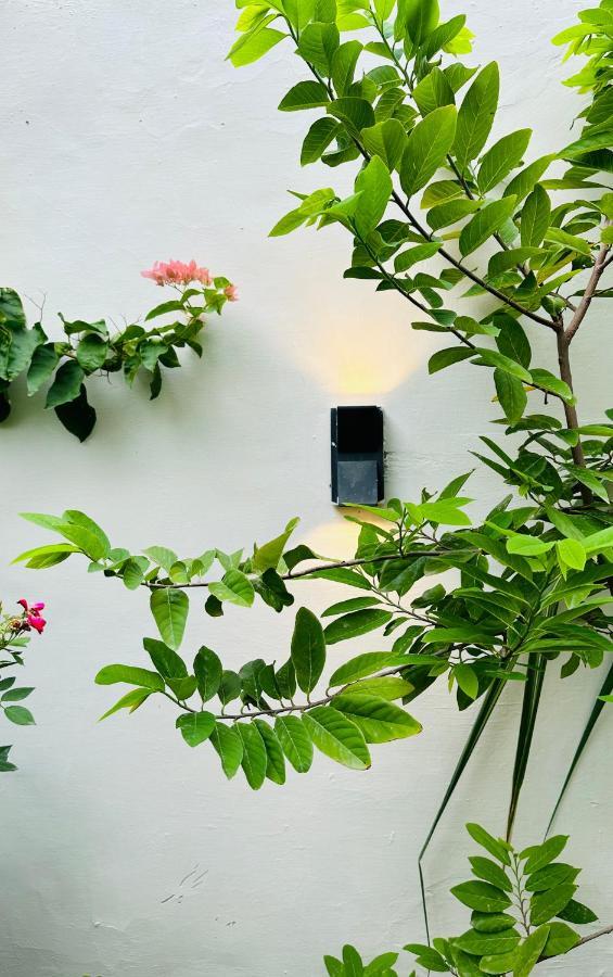 Anandmai Ghar - A Homestay In Gwalior Εξωτερικό φωτογραφία
